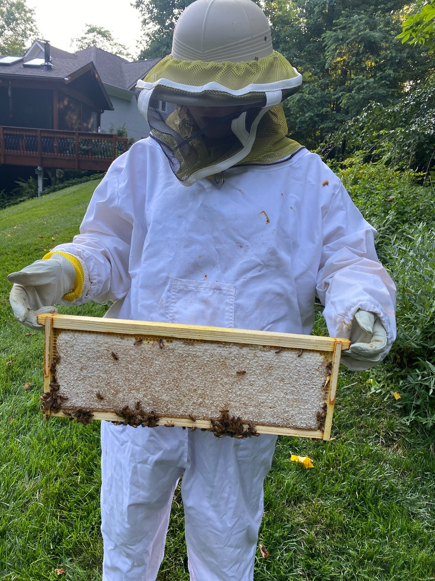 Raw Organic Local Honey - 6 oz.